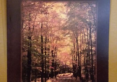 Growing Up In Greene Township- Collected Essays of Edward Parsons
